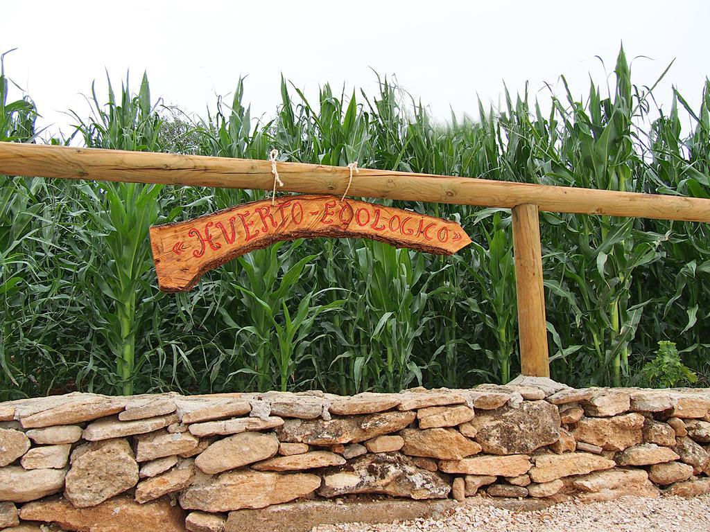 Alojamiento Rural La Pila Ронда Екстериор снимка